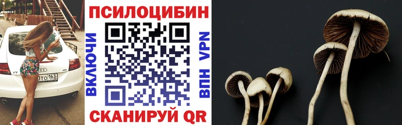 KRAKEN ТОР  Переславль-Залесский  Галлюциногенные грибы мицелий  где продают  