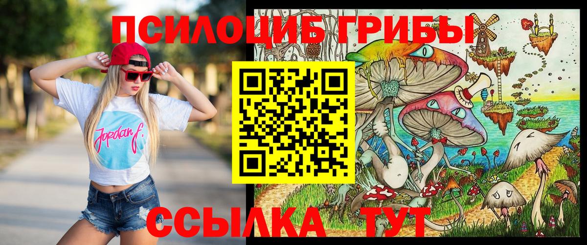 Псилоцибиновые грибы мухоморы  Вход с VPN  сколько стоит  Переславль-Залесский 