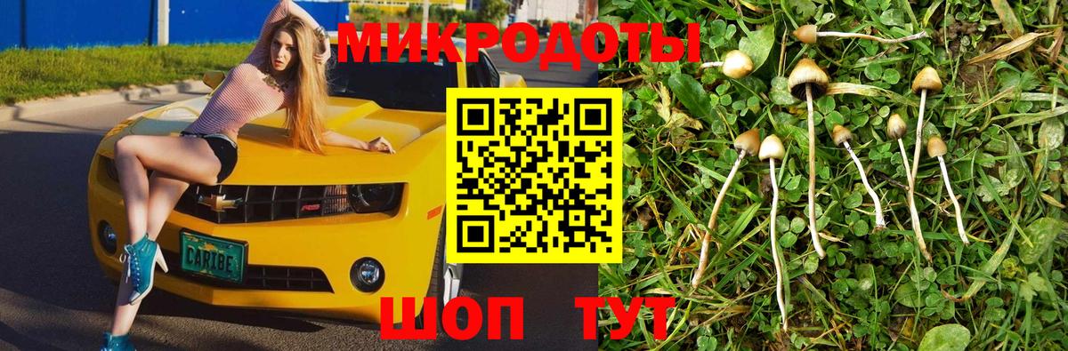 Псилоцибиновые грибы мицелий Переславль-Залесский